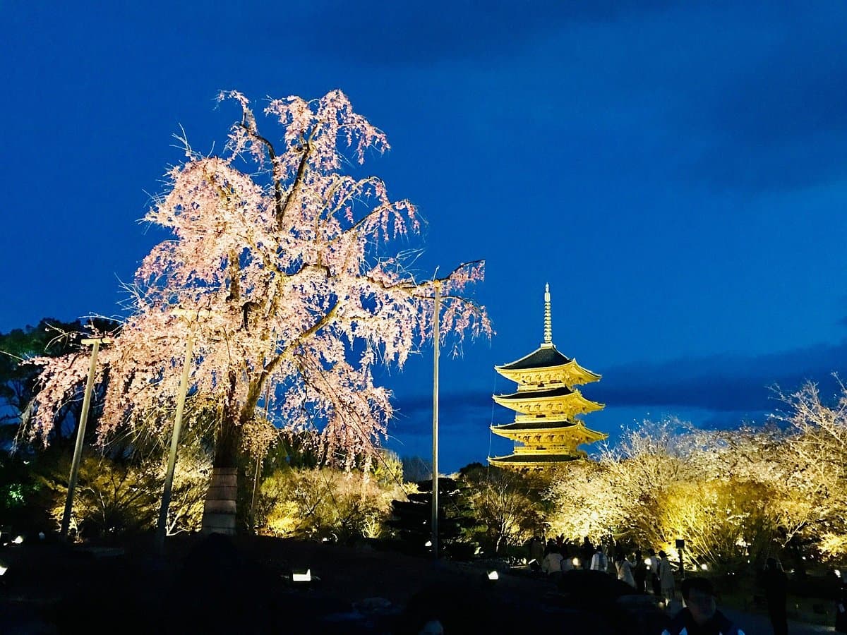 Toji-Tempel