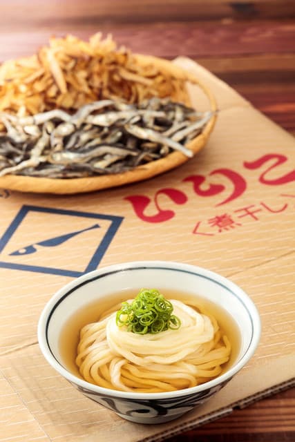 Tsukumo Udon Shiokouji honten: handgemachte Sanuki-Udon
