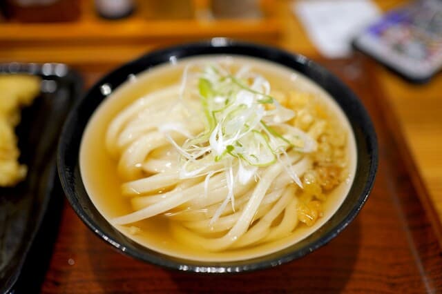Honkaku Teuchi Iwashiya: Klassische Sanuki-Udon