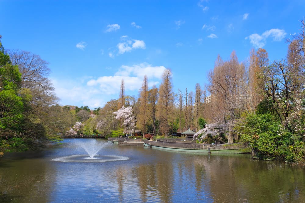 Inokashira-Park
