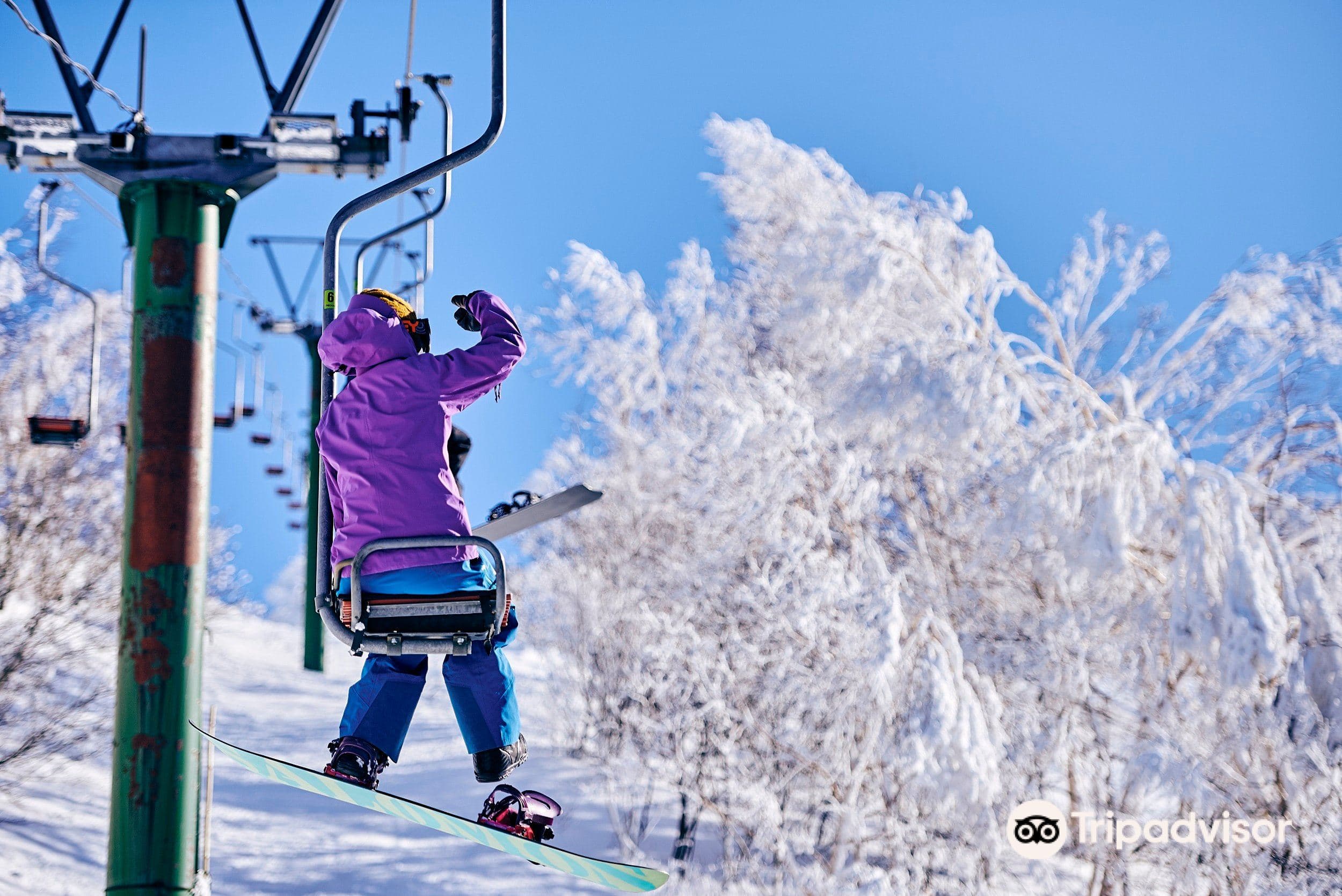 Madarao Mountain Resort