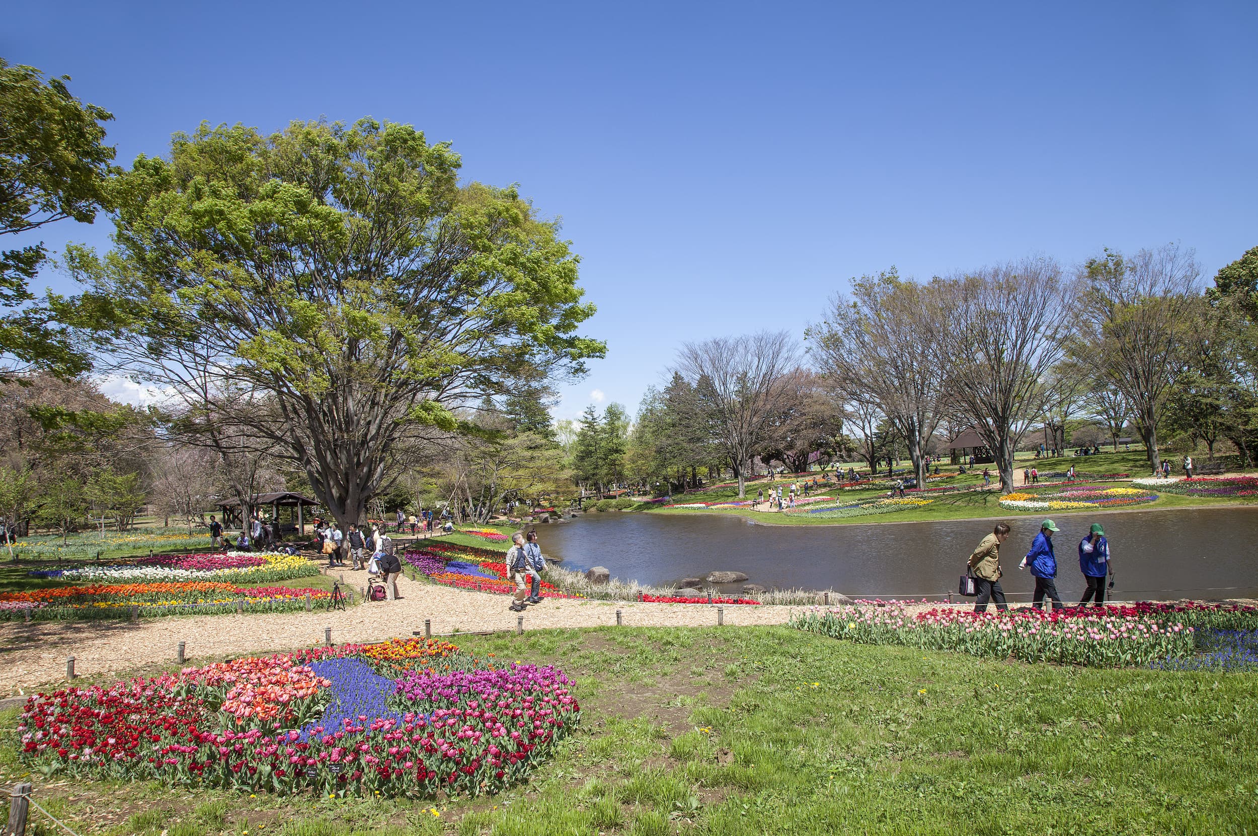 Showa Kinen Nationalpark