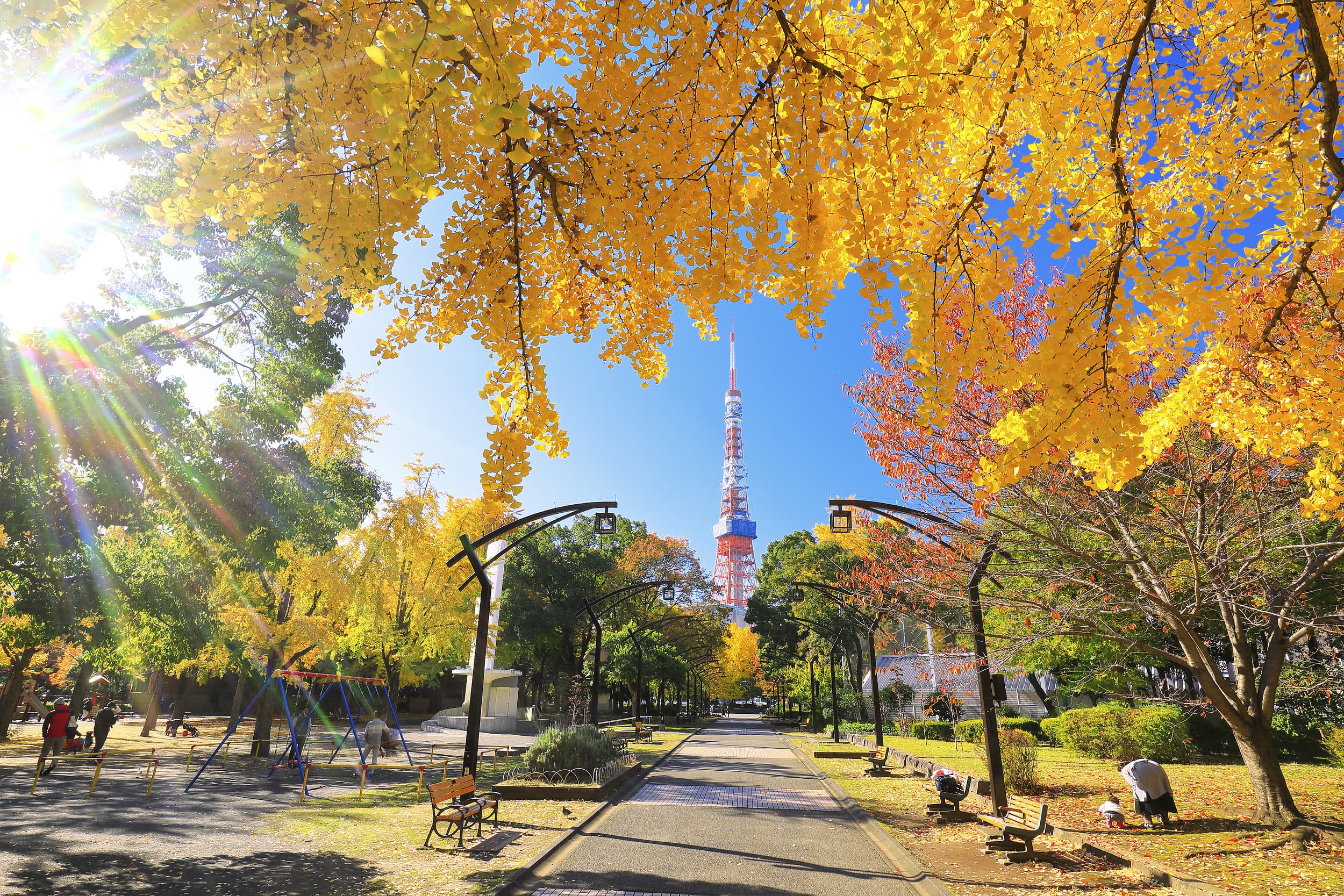 Shiba Park