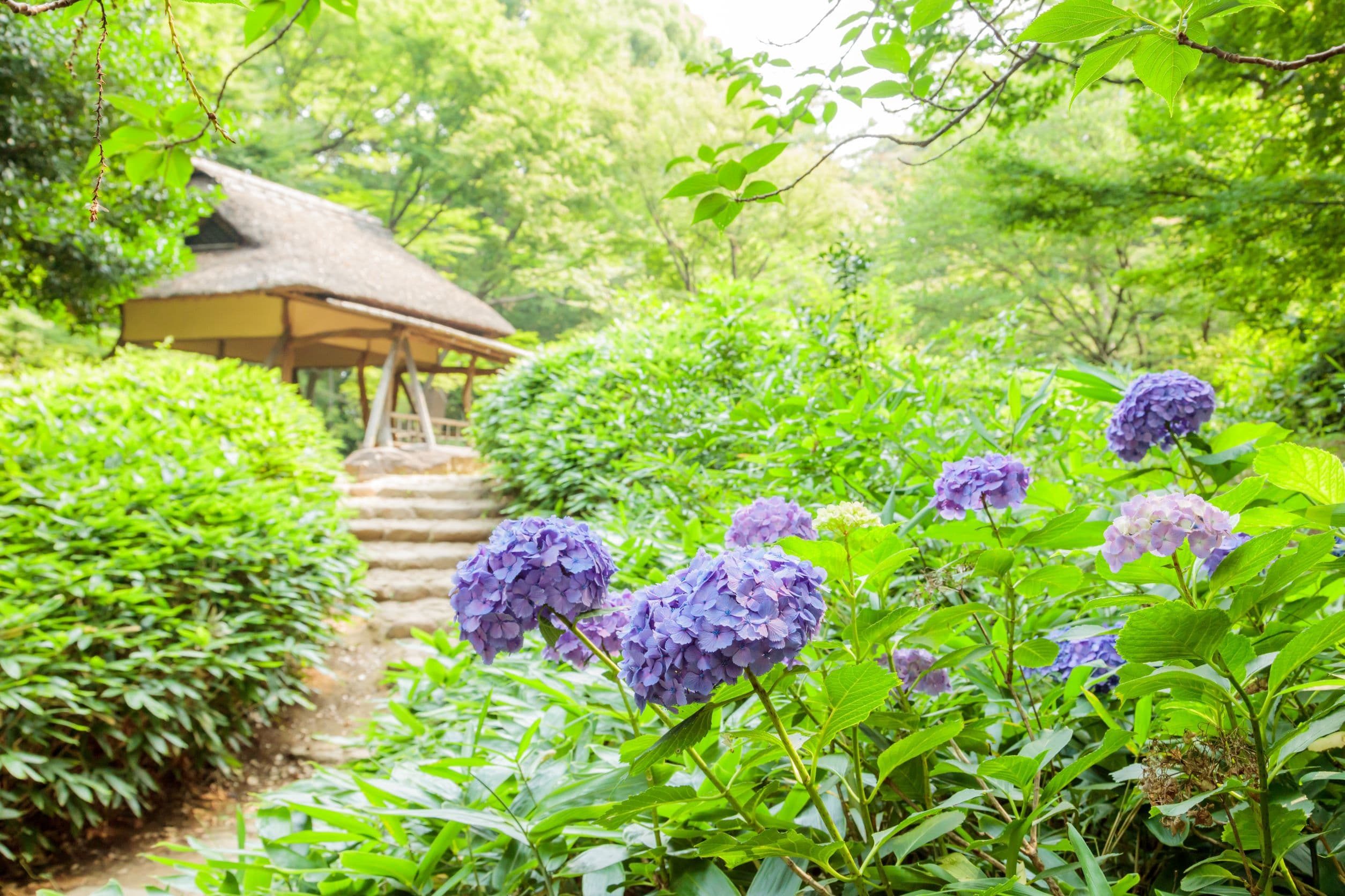 Rikugien Gardens cover image