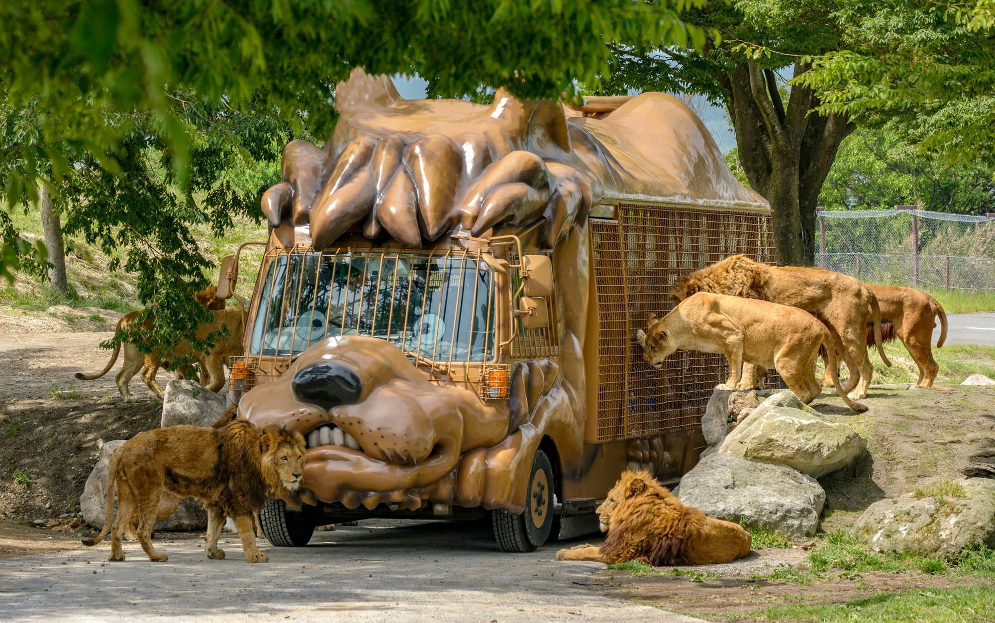 Kyushu Wildlife Park African Safari
