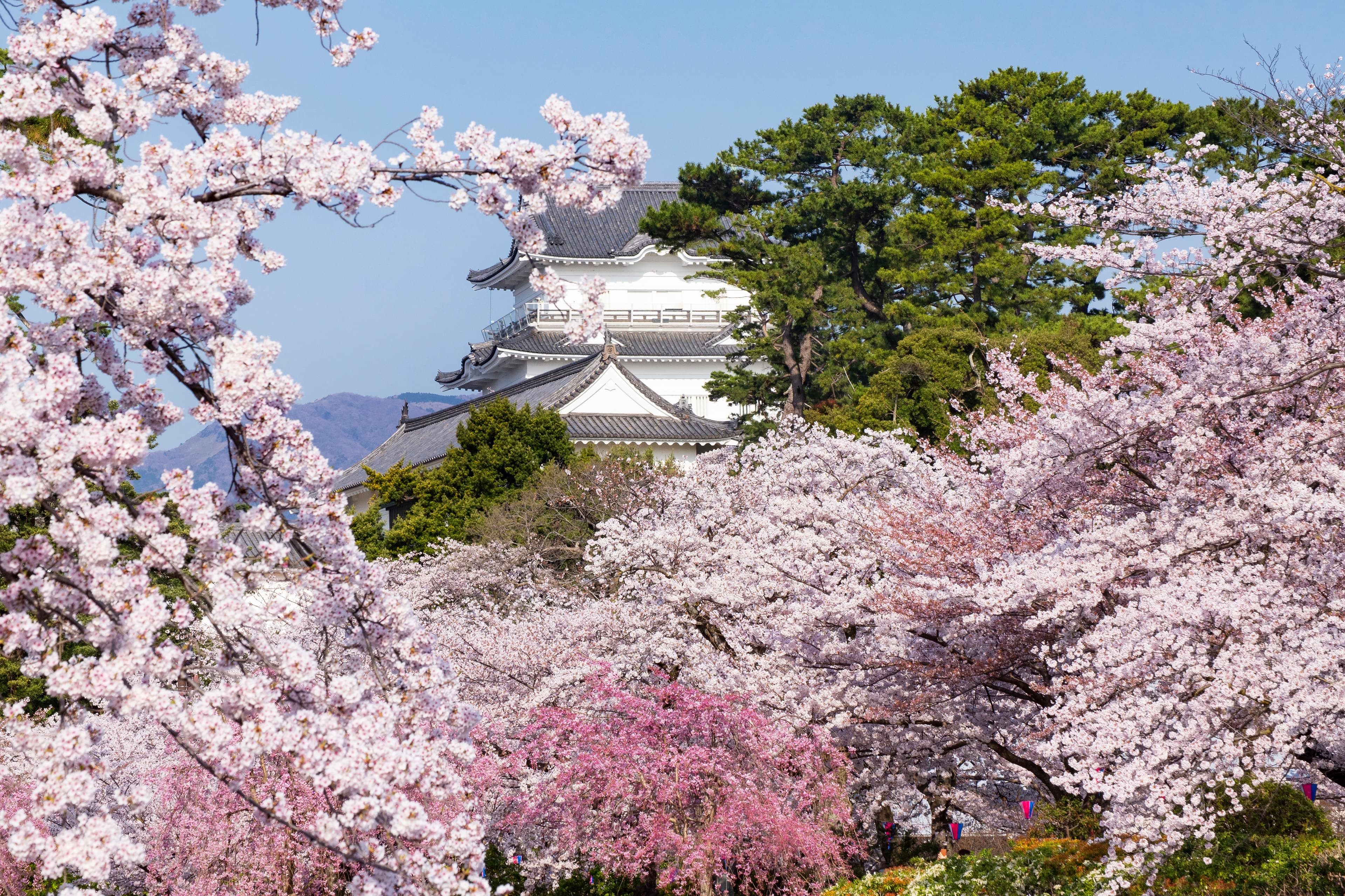 Burg Odawara