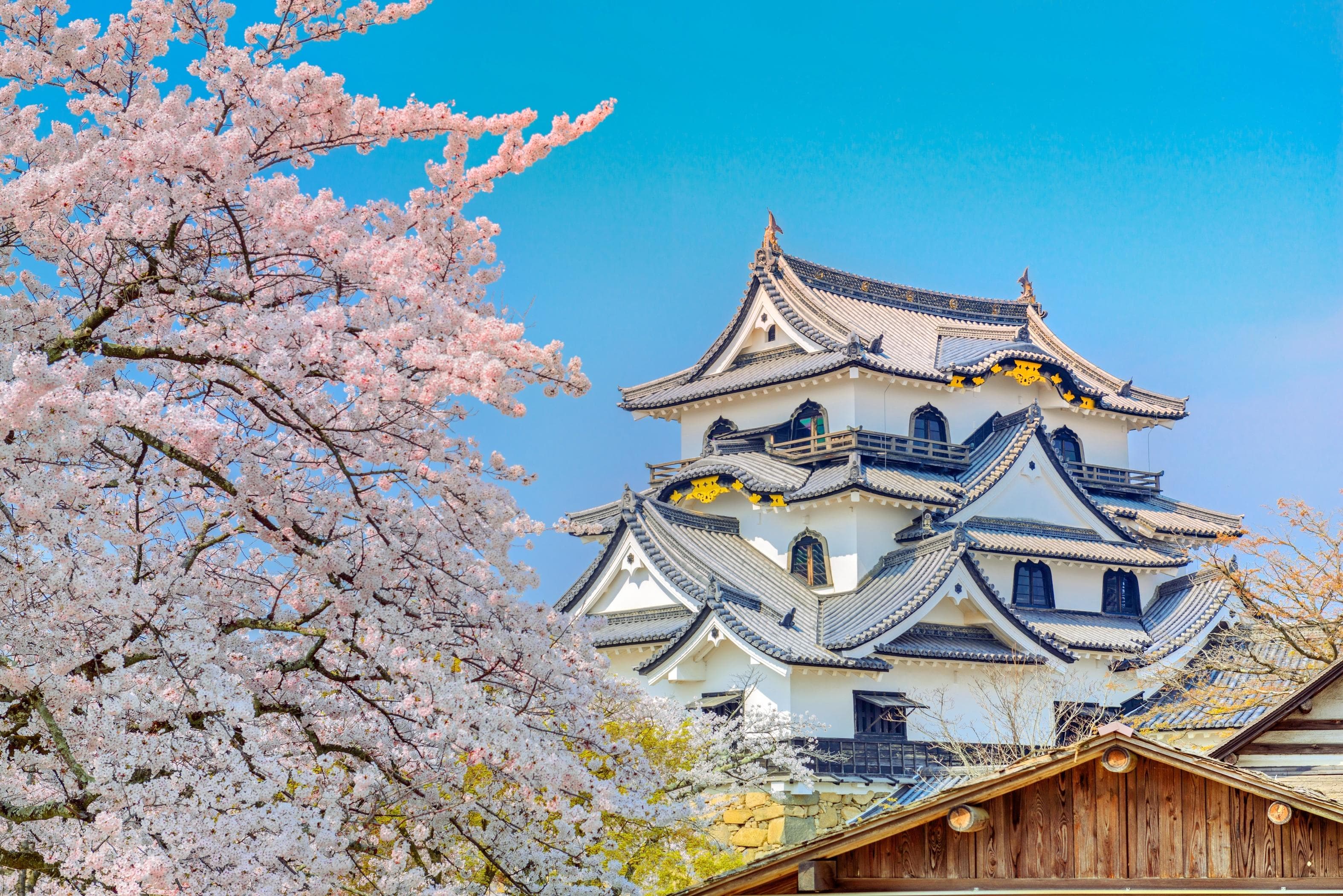 Burg Hikone