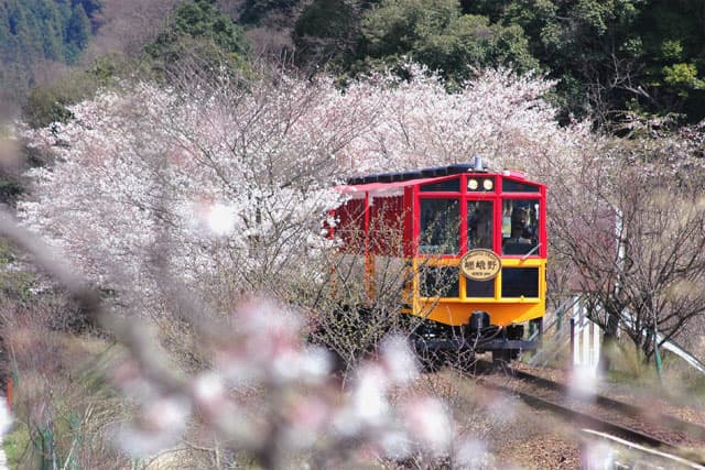 Sagano Romantischer Zug Arashiyama