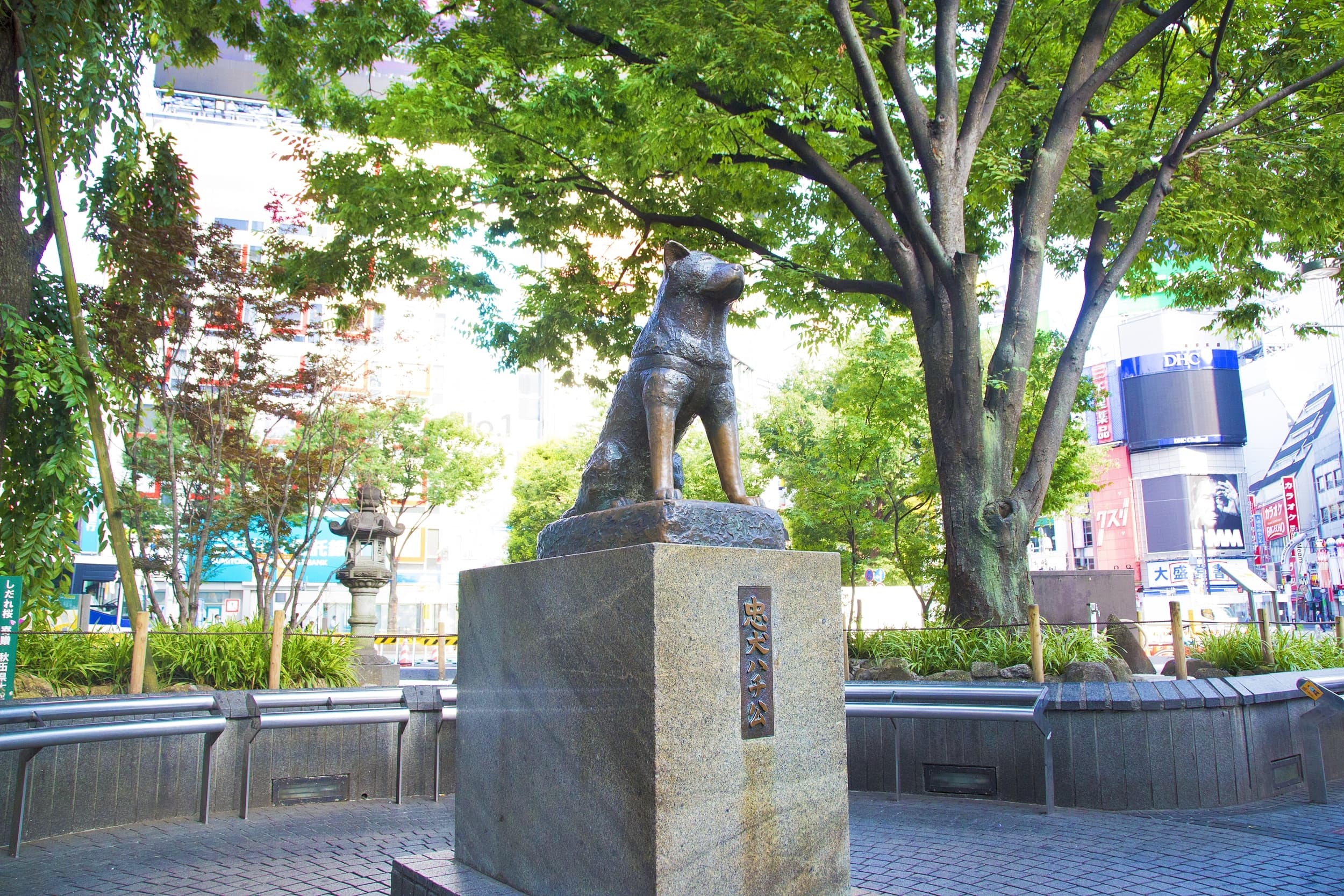 Hachiko-Statue