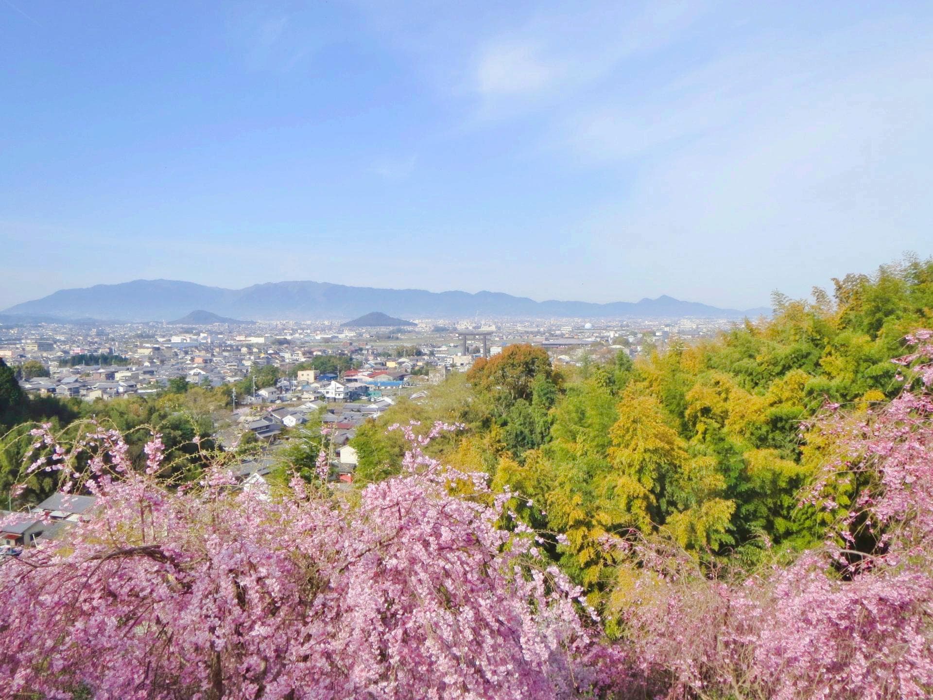 Omiwa-Schrein