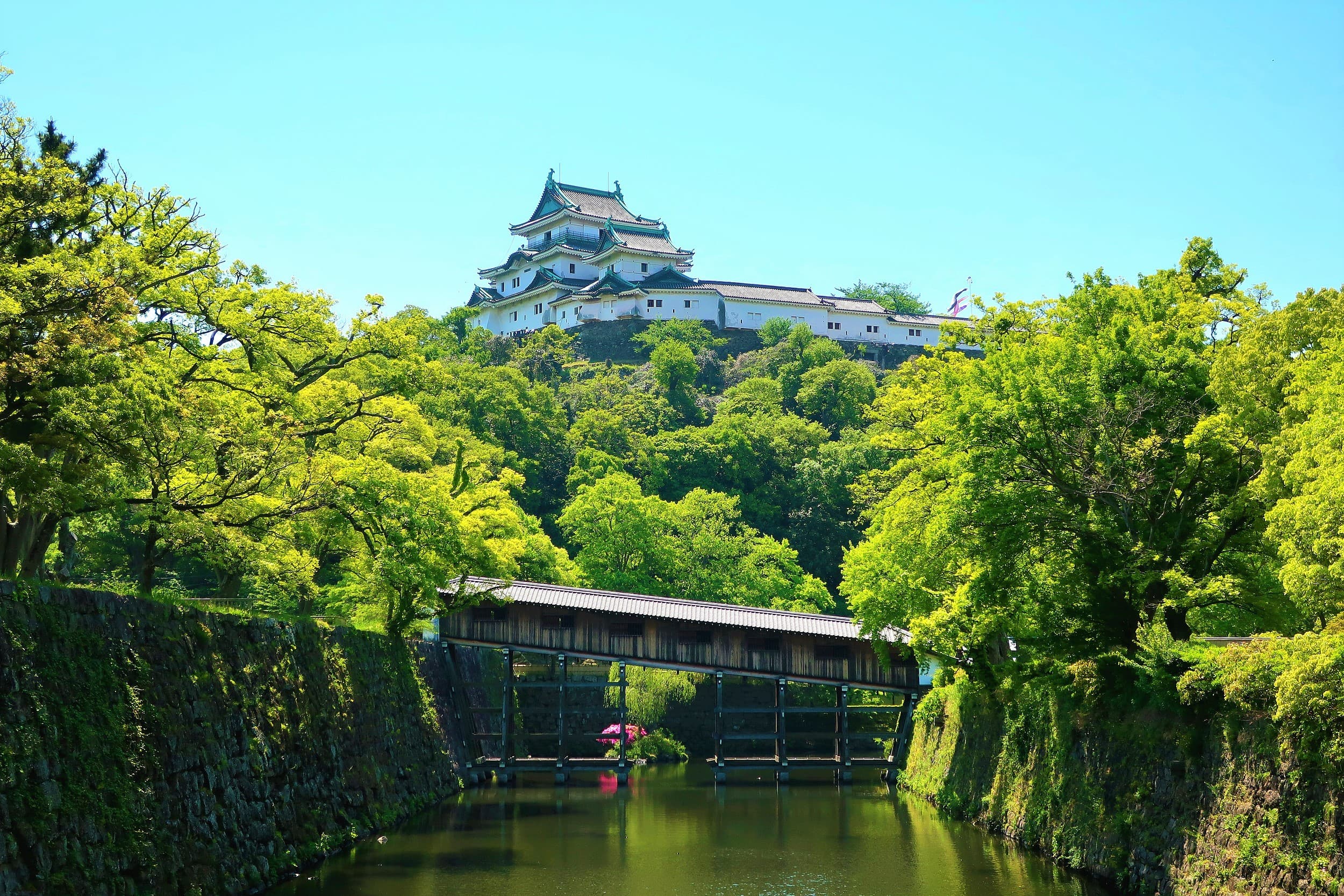 Burg Wakayama