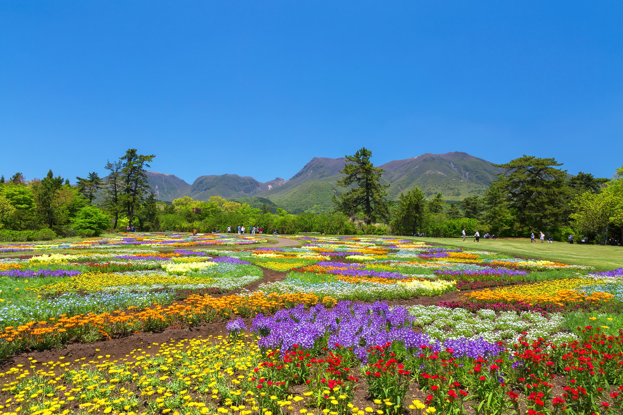 Kuju Blumenpark