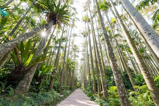 Südost-Botanischer Garten
