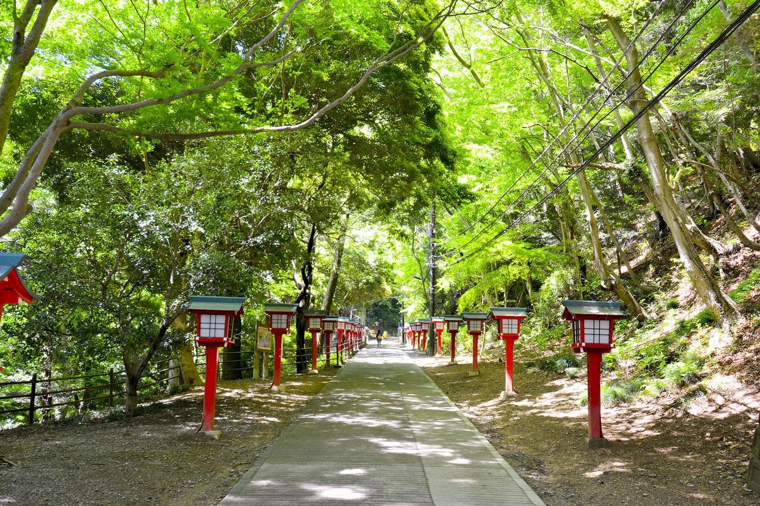 Takaosan Yakuo-in Tempel