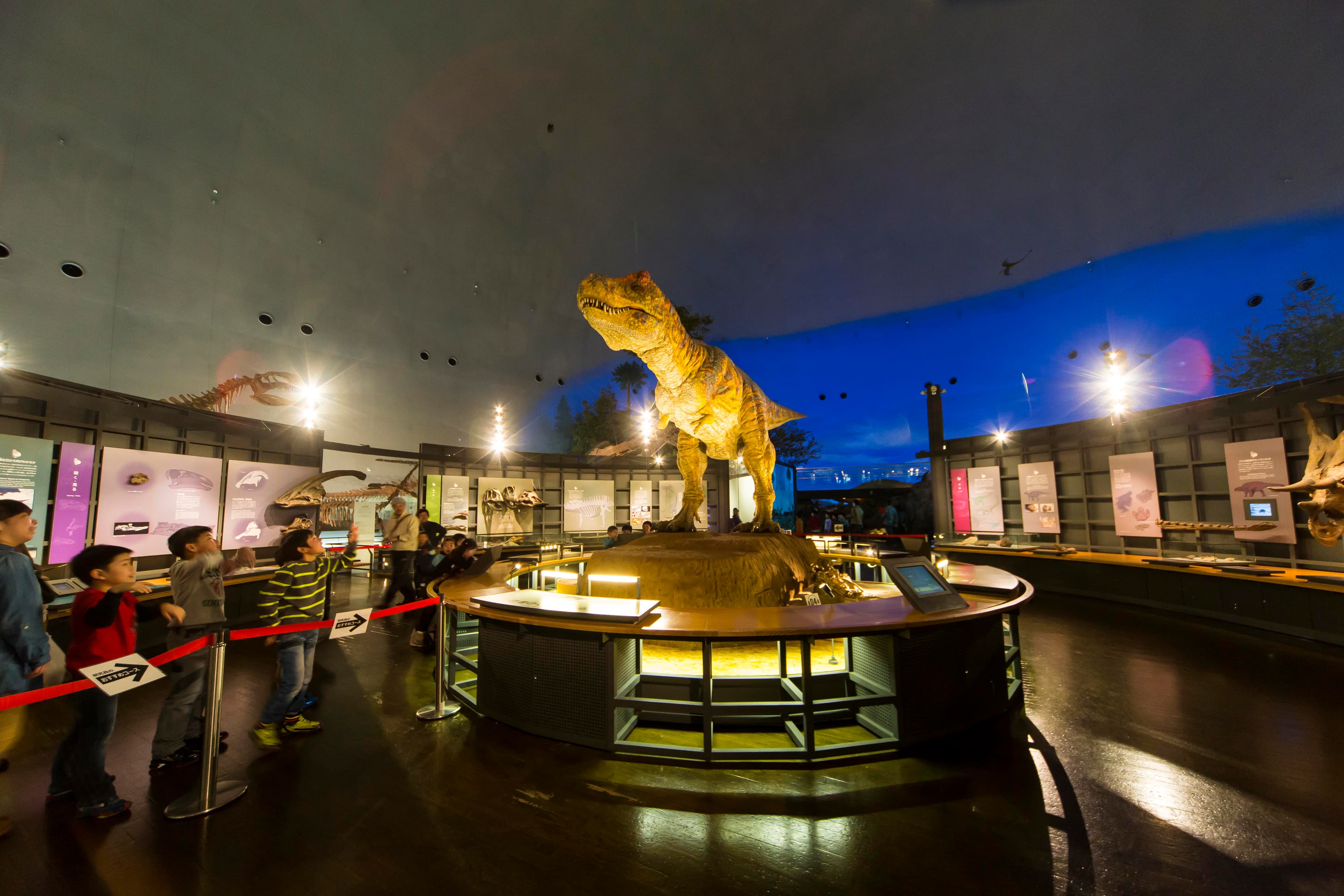 Fukui Präfektur Dinosaurier Museum