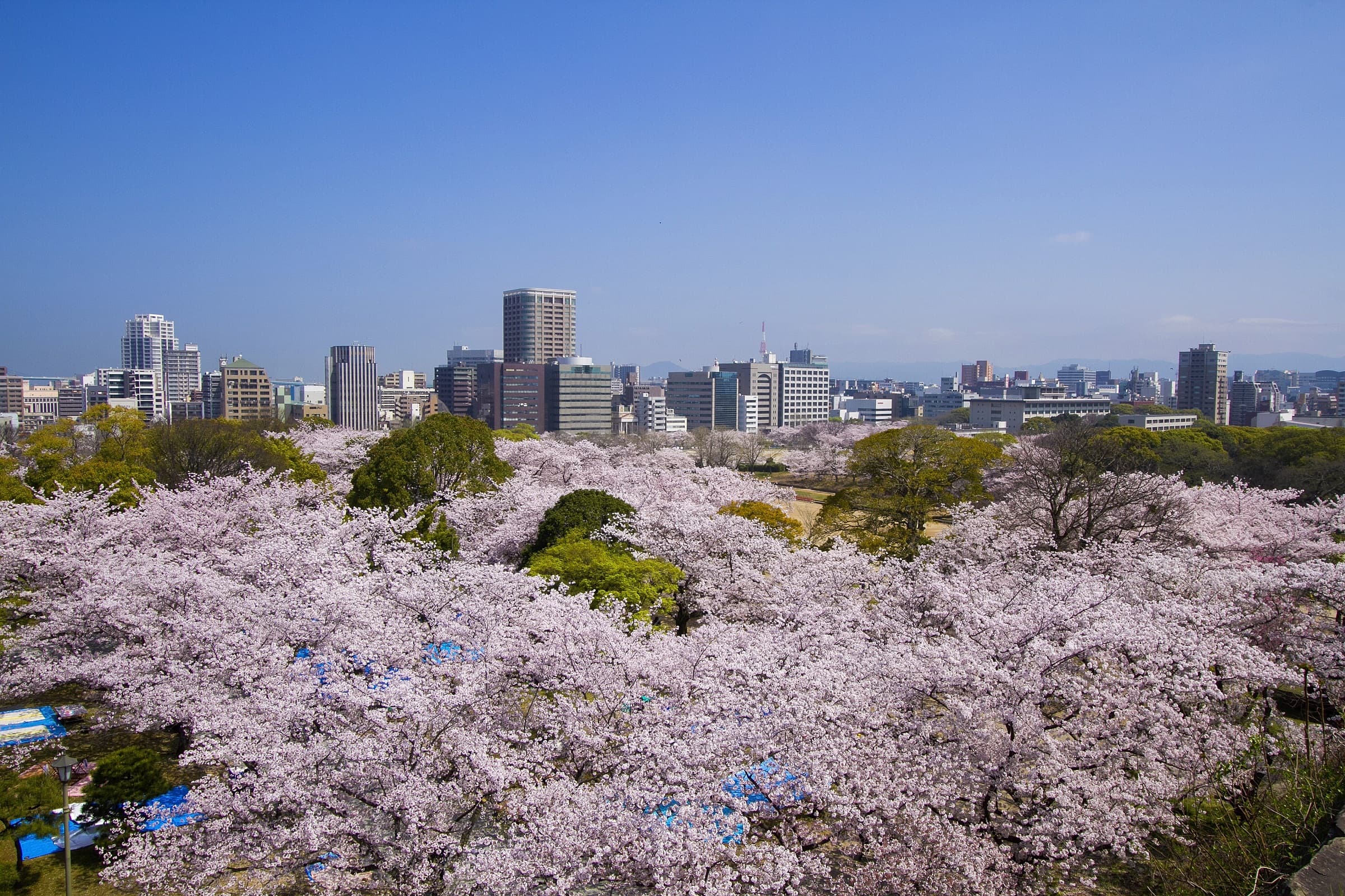 Burgruinen von Fukuoka