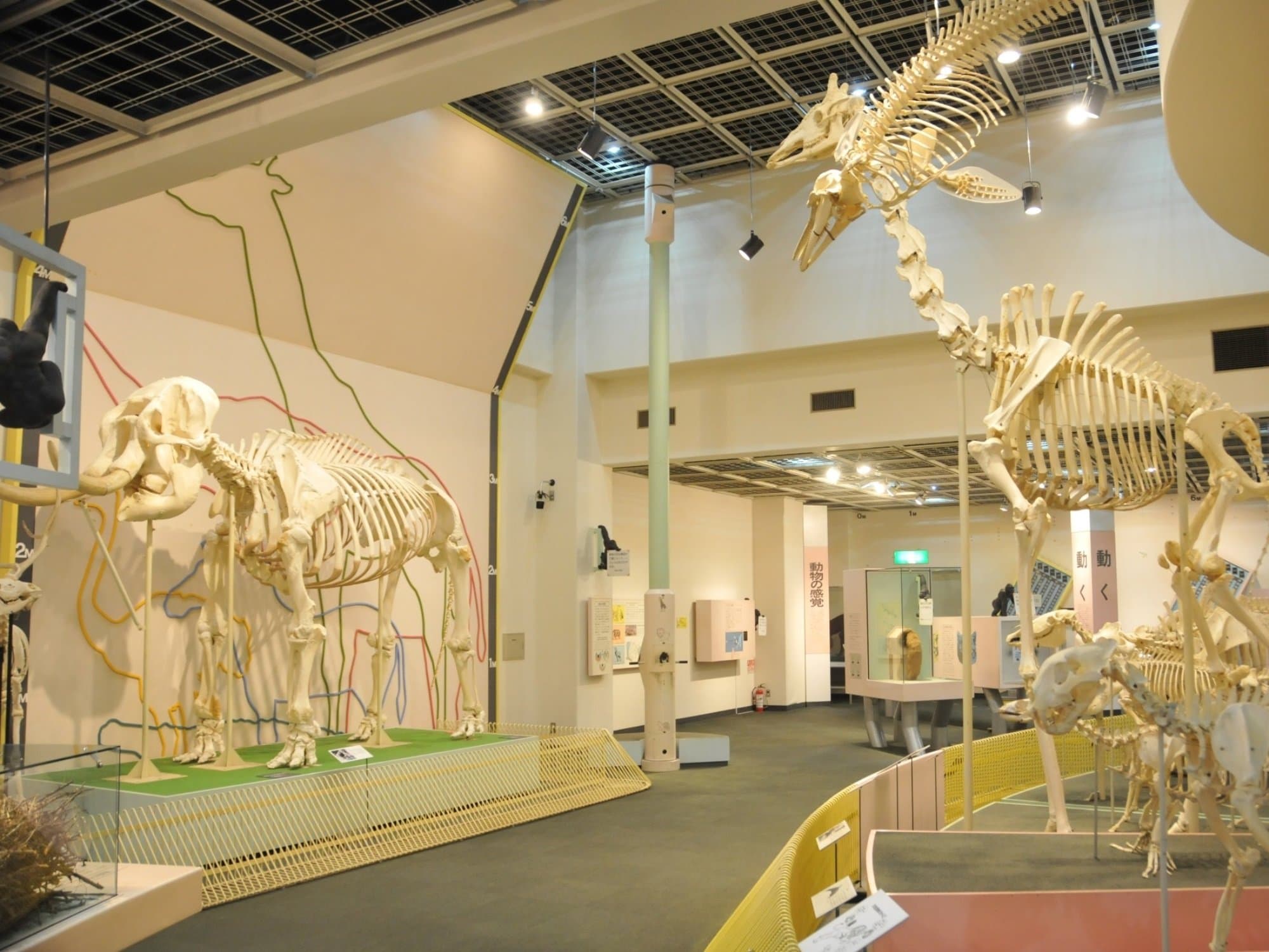 Kobe Ōji Zoo