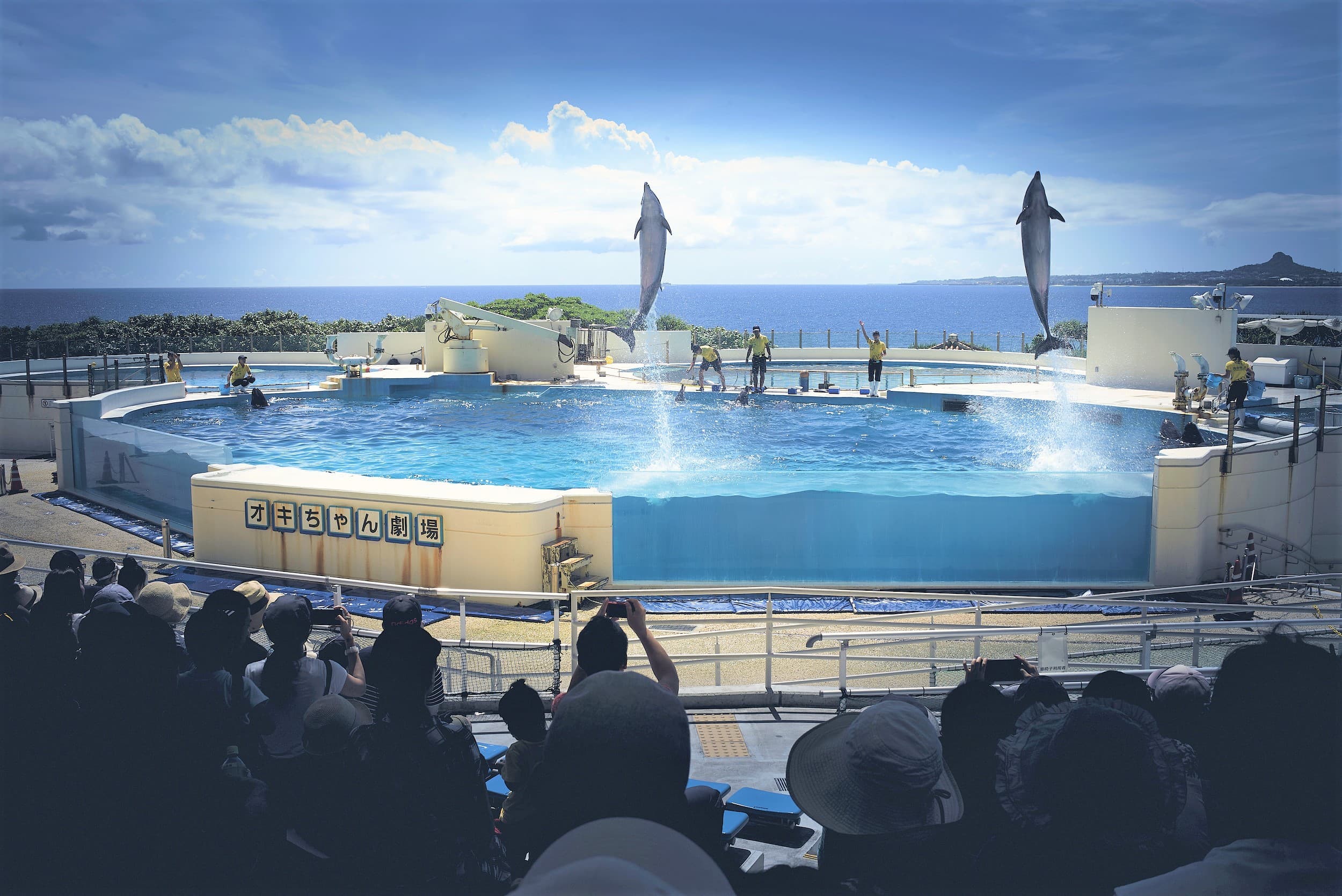 Okichan Theatre cover image