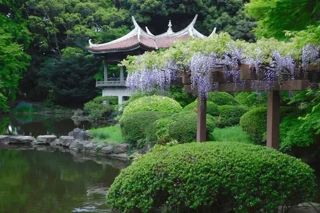 Shinjuku Gyoen Nationalgarten