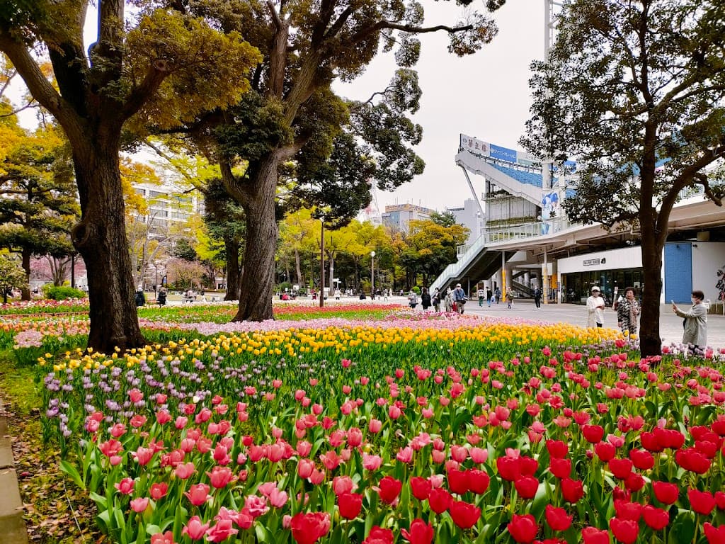 Yokohama Park