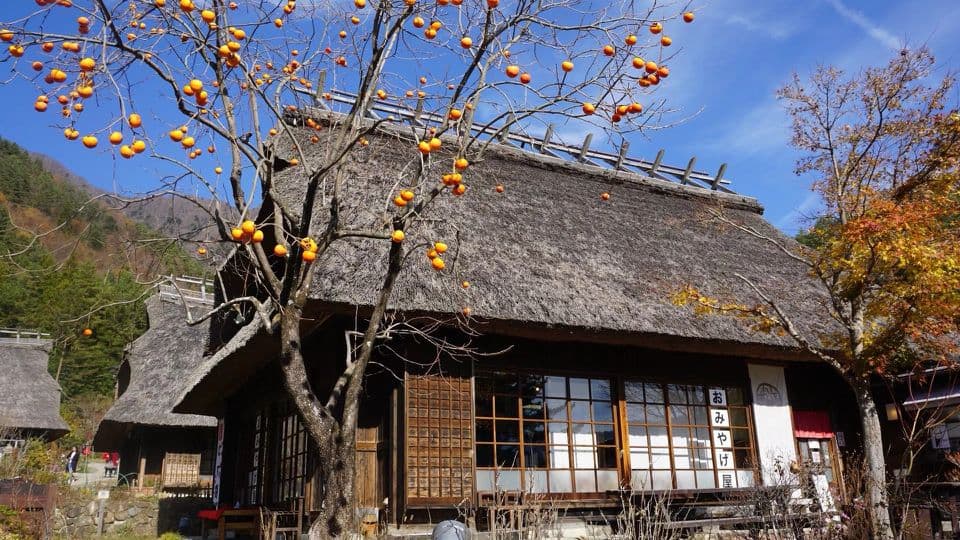 Saiko Iyashi-no-Sato Nemba (Traditionelles japanisches Dorf)
