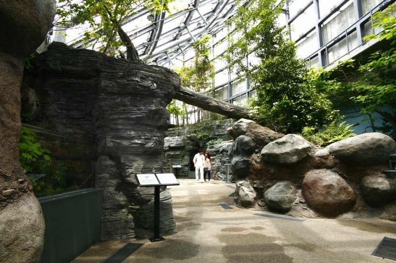 Welt-Süßwasseraquarium Aqua Totto Gifu