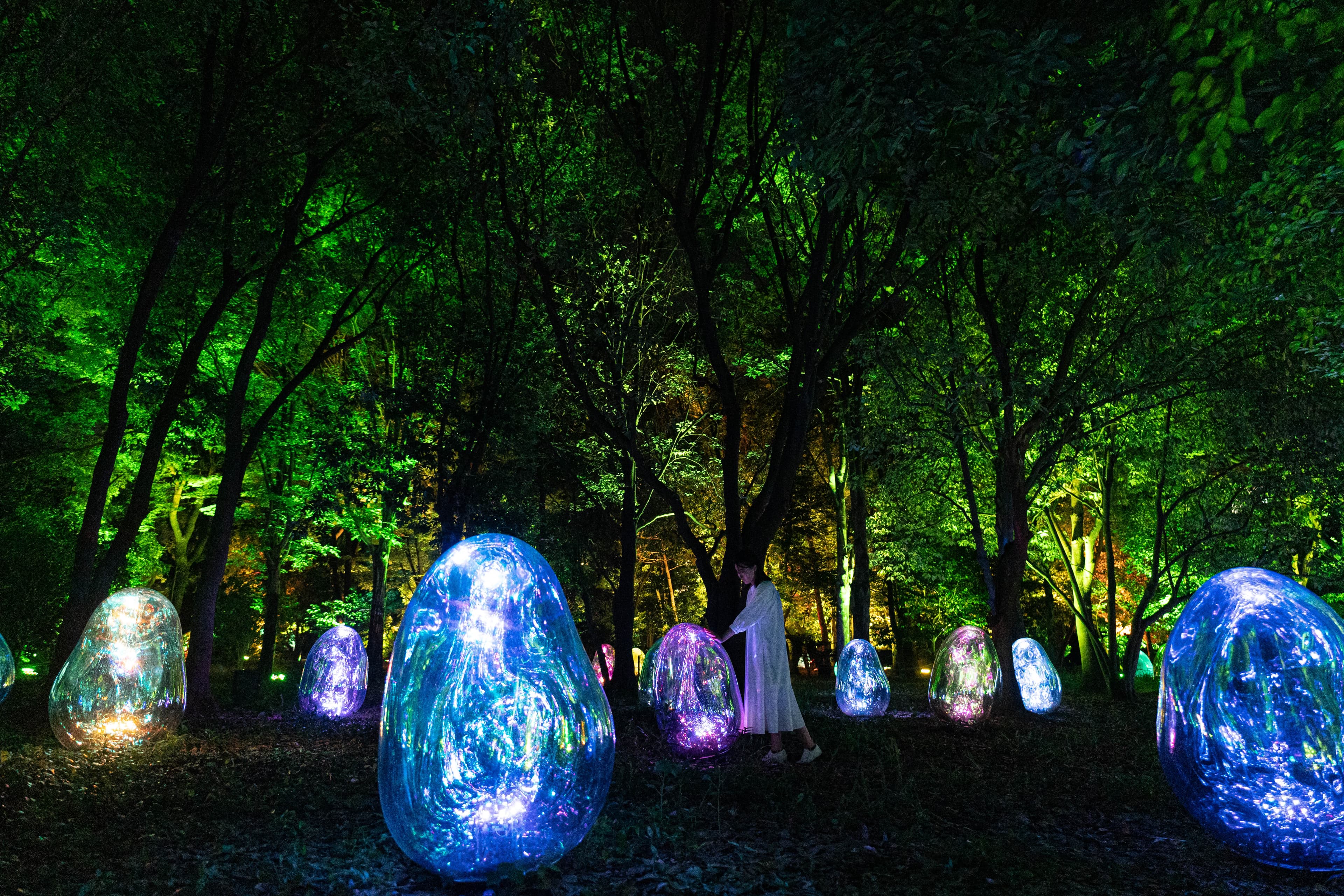 teamLab Botanischer Garten Osaka