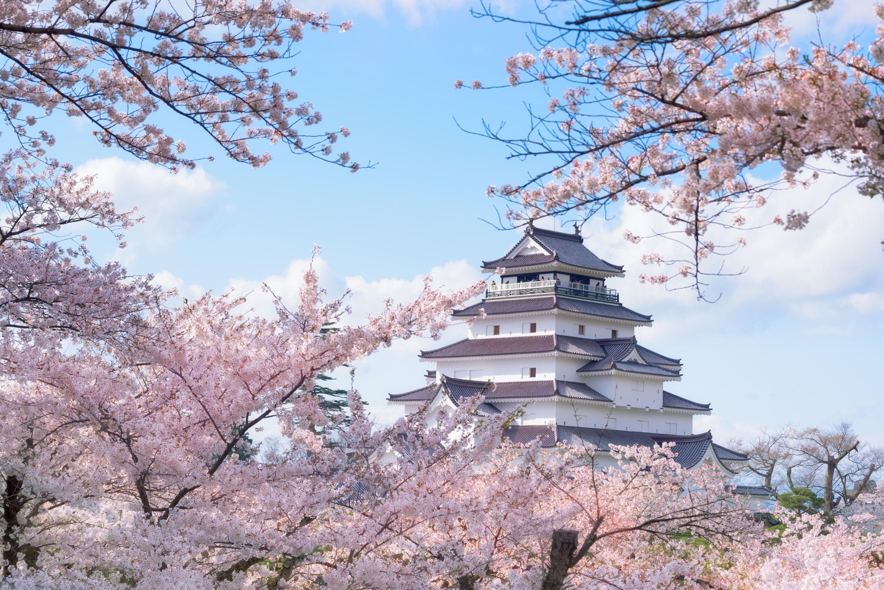 Burg Tsurugajo