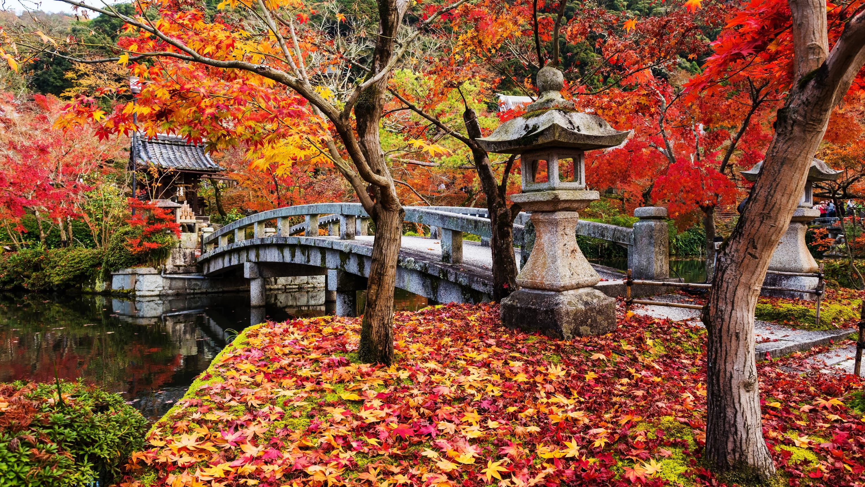 Eikando Temple cover image