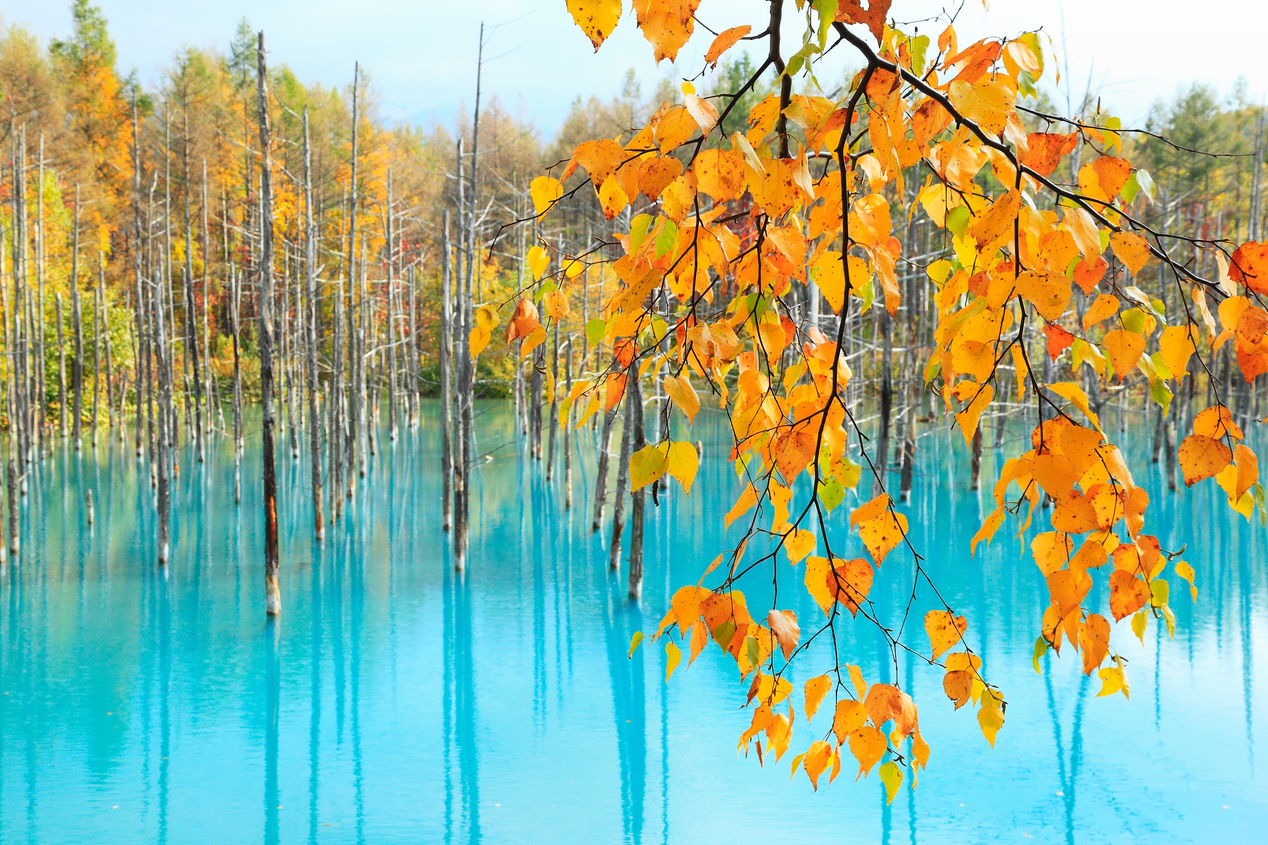 Shirogane Blauer Teich