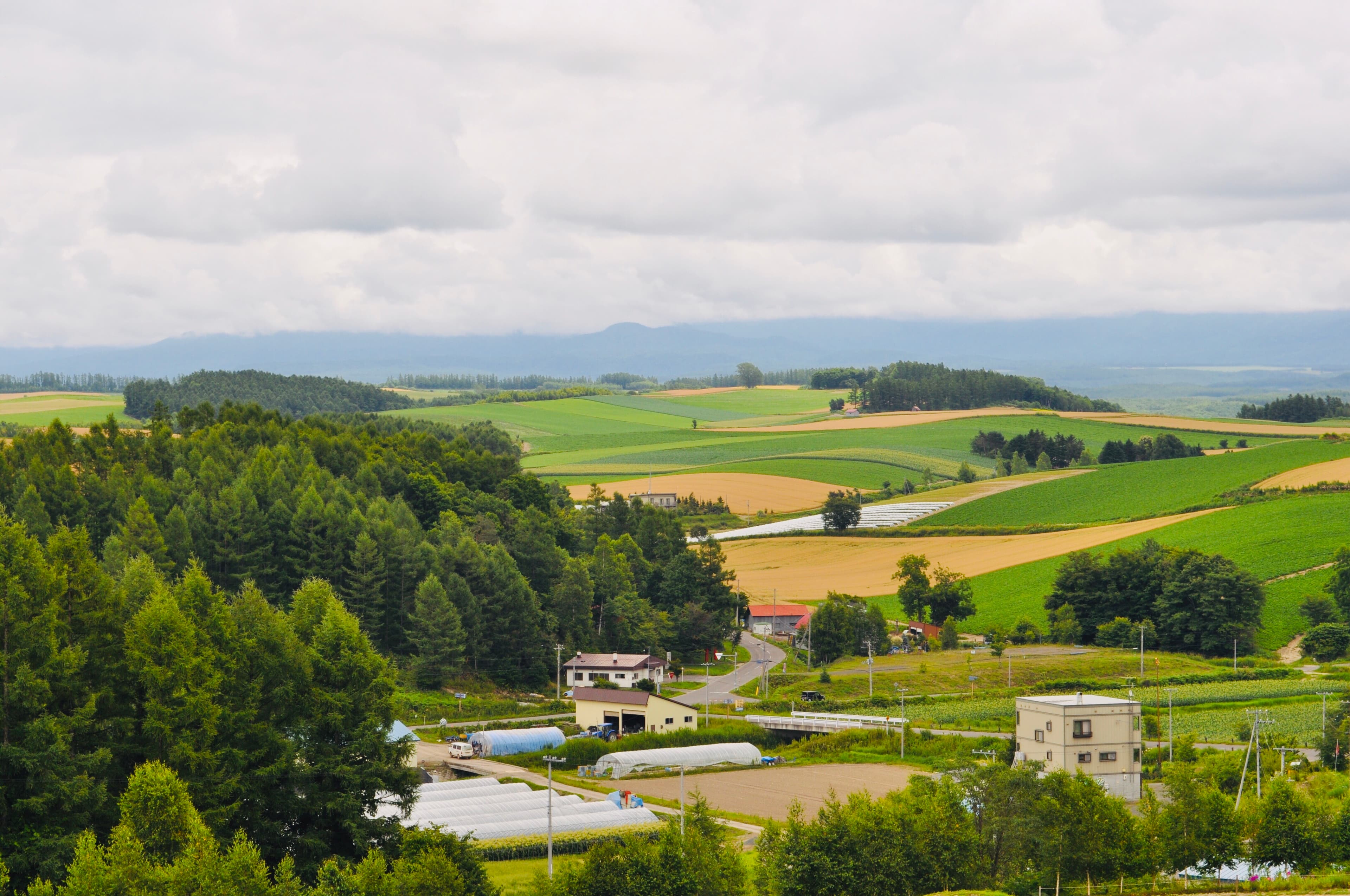 Patchwork-Straße