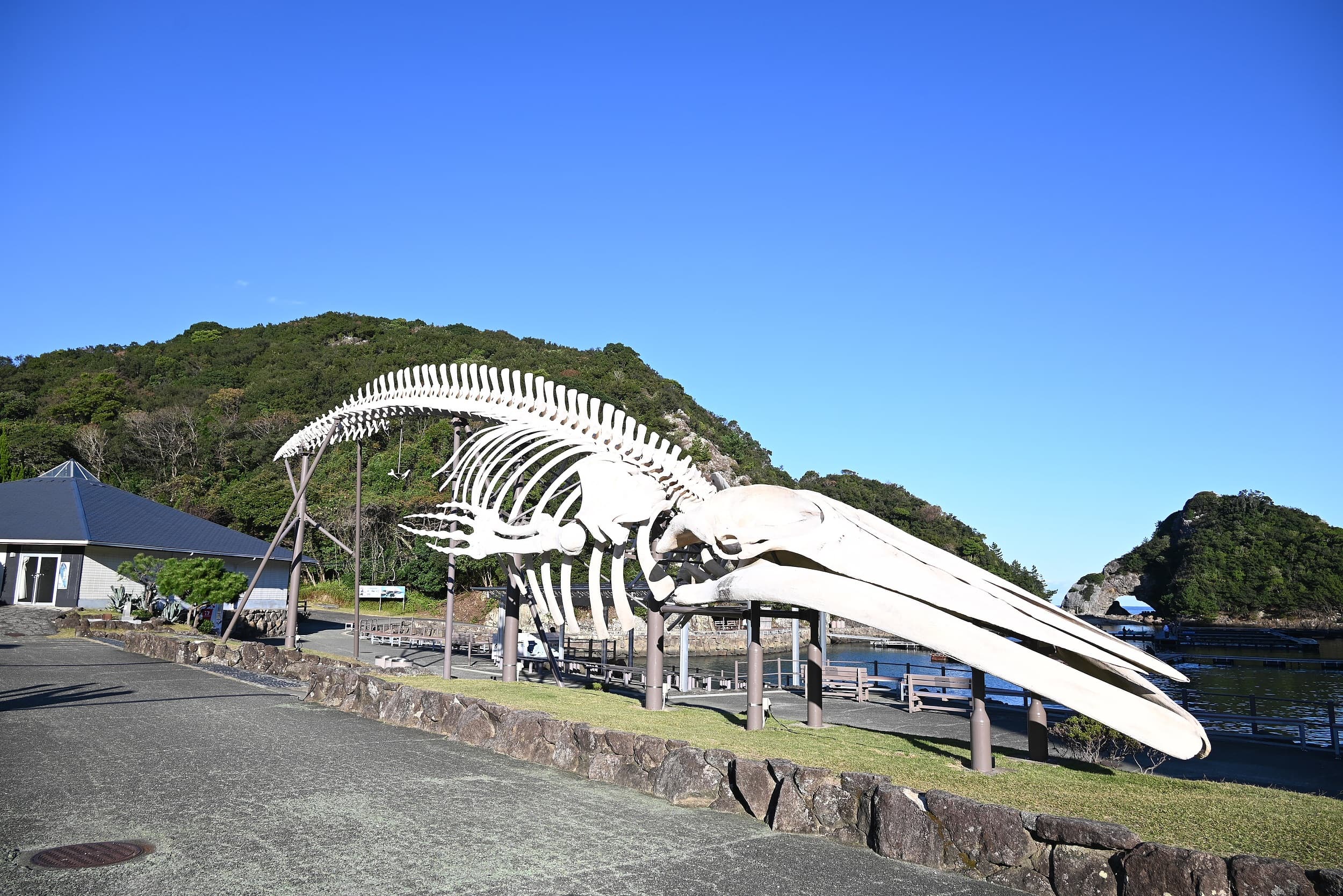 Taiji-cho Walmuseum