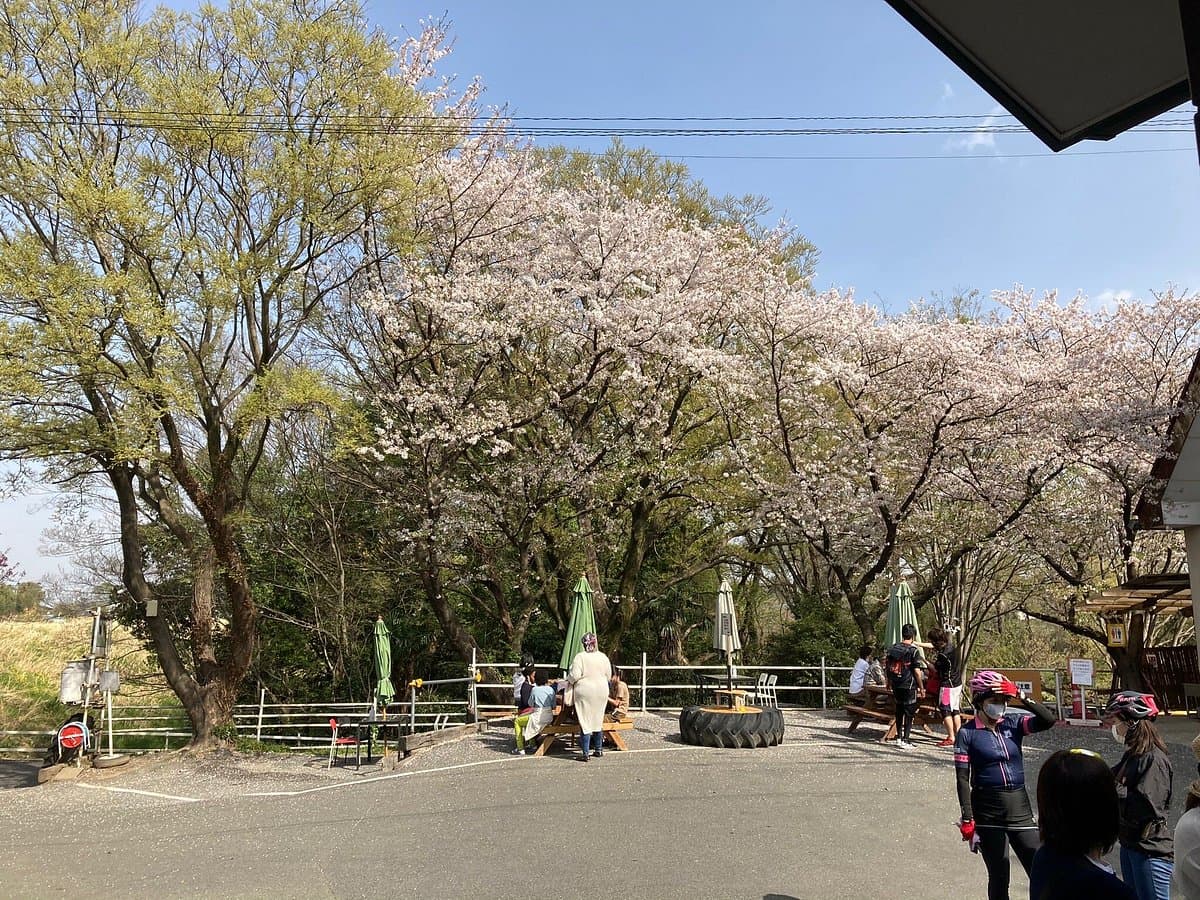 Enomoto Milchfarm