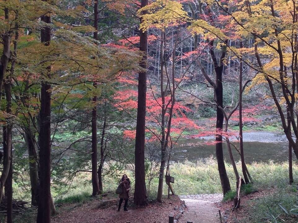 Ranzan Valley