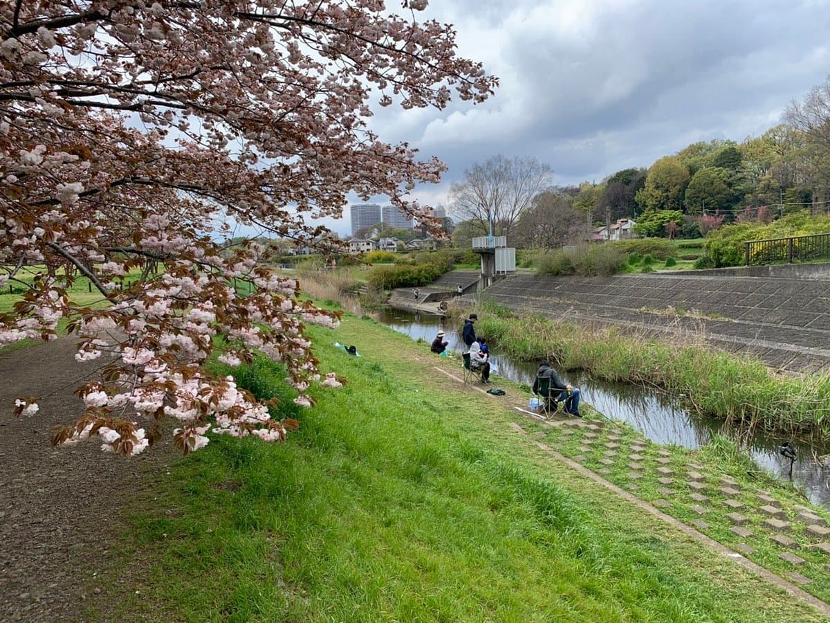 Nogawa Park