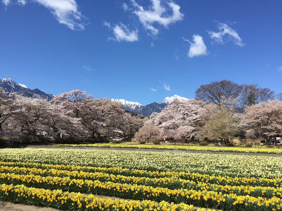 Jisso-ji Tempel