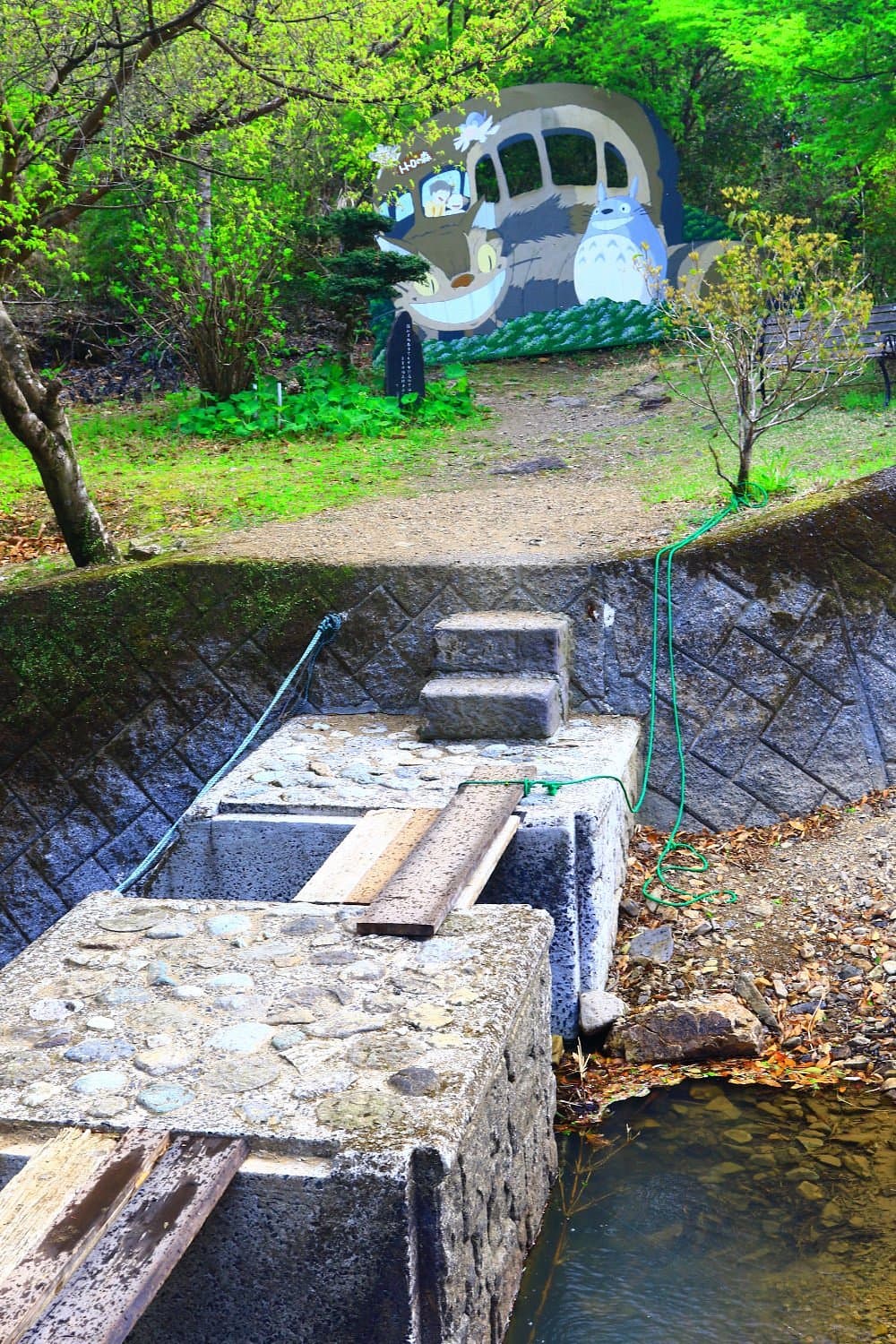 Totoros Wald
