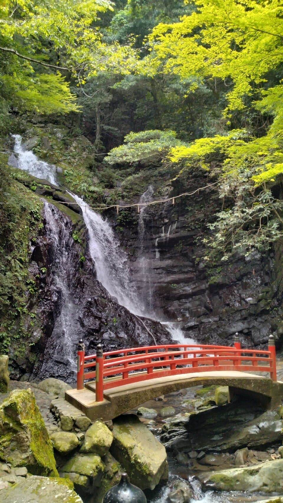 Gyoja no Taki Wasserfall