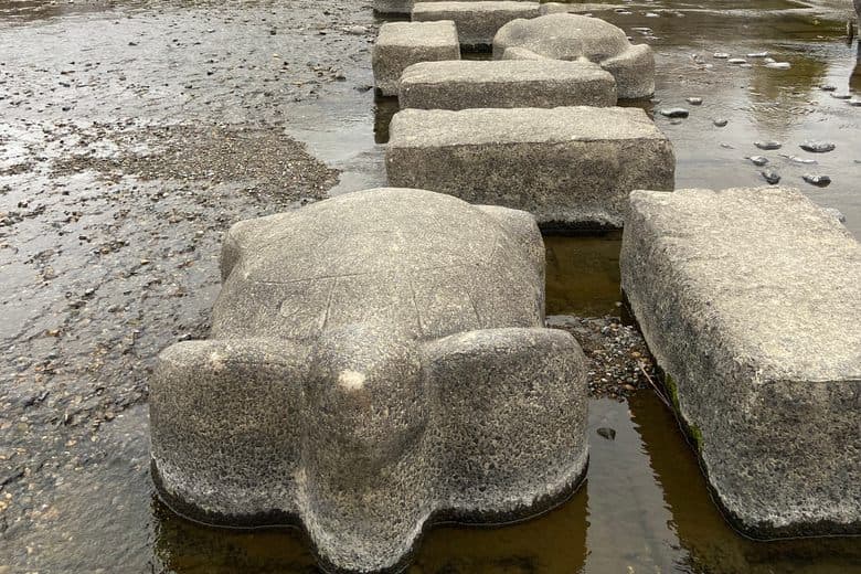 Kamo-Fluss-Schildkröten-Trittsteine