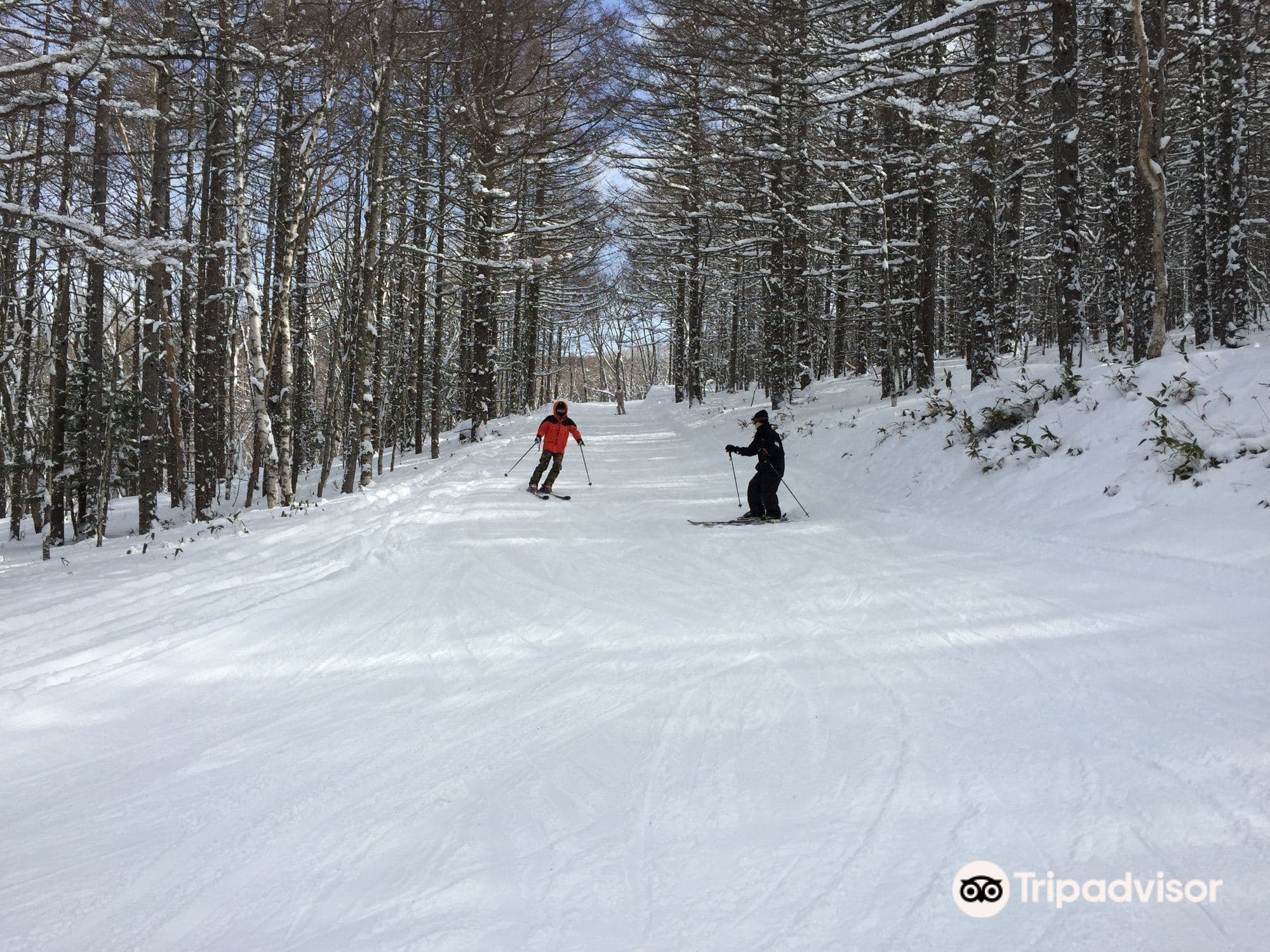 Shirakaba Kogen Kokusai Skigebiet