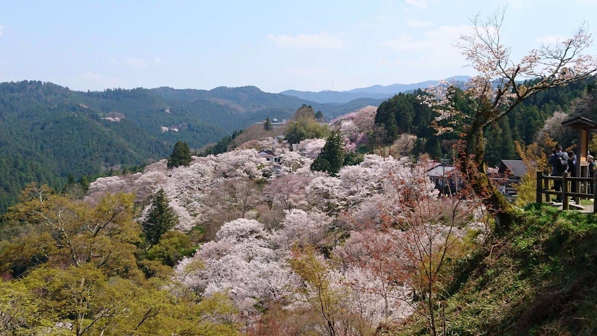 Berg Yoshino