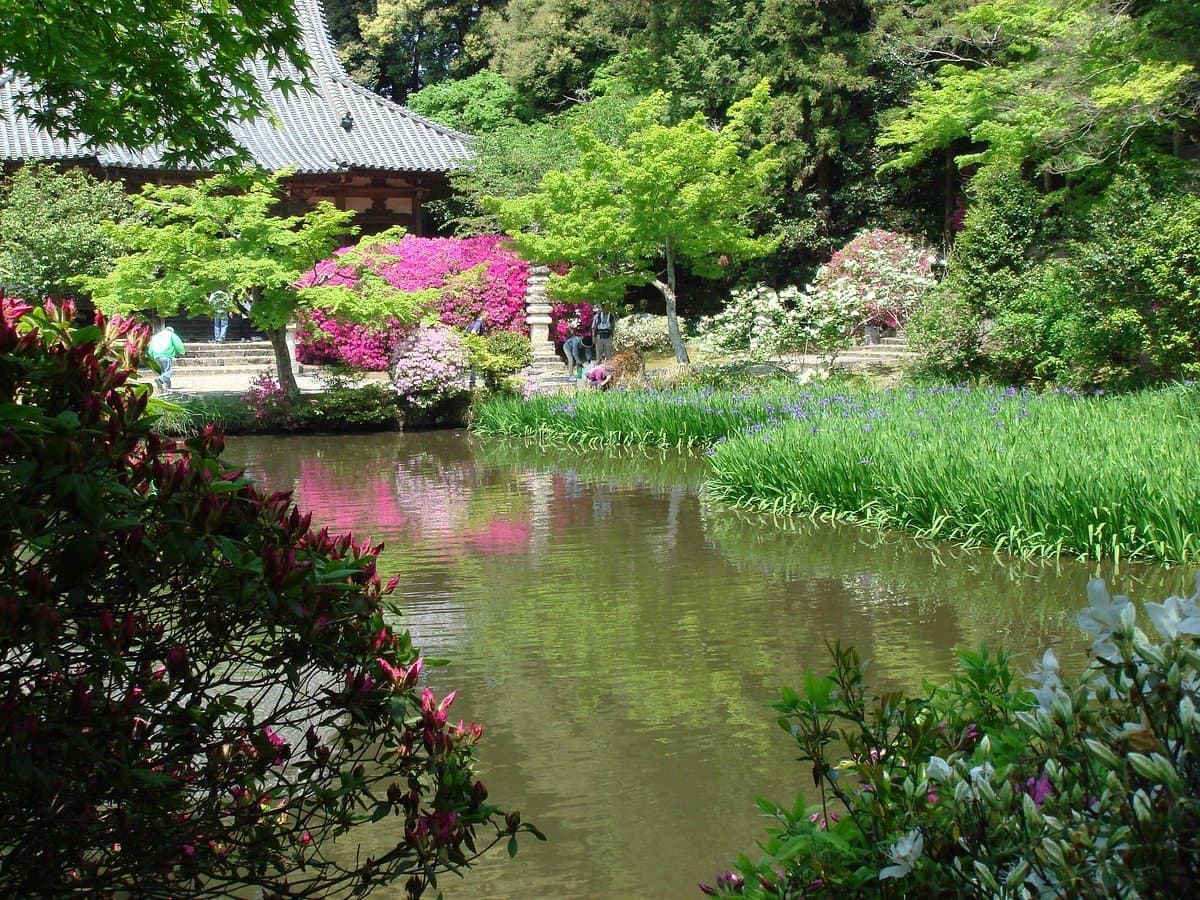 Chogaku-ji Temple cover image