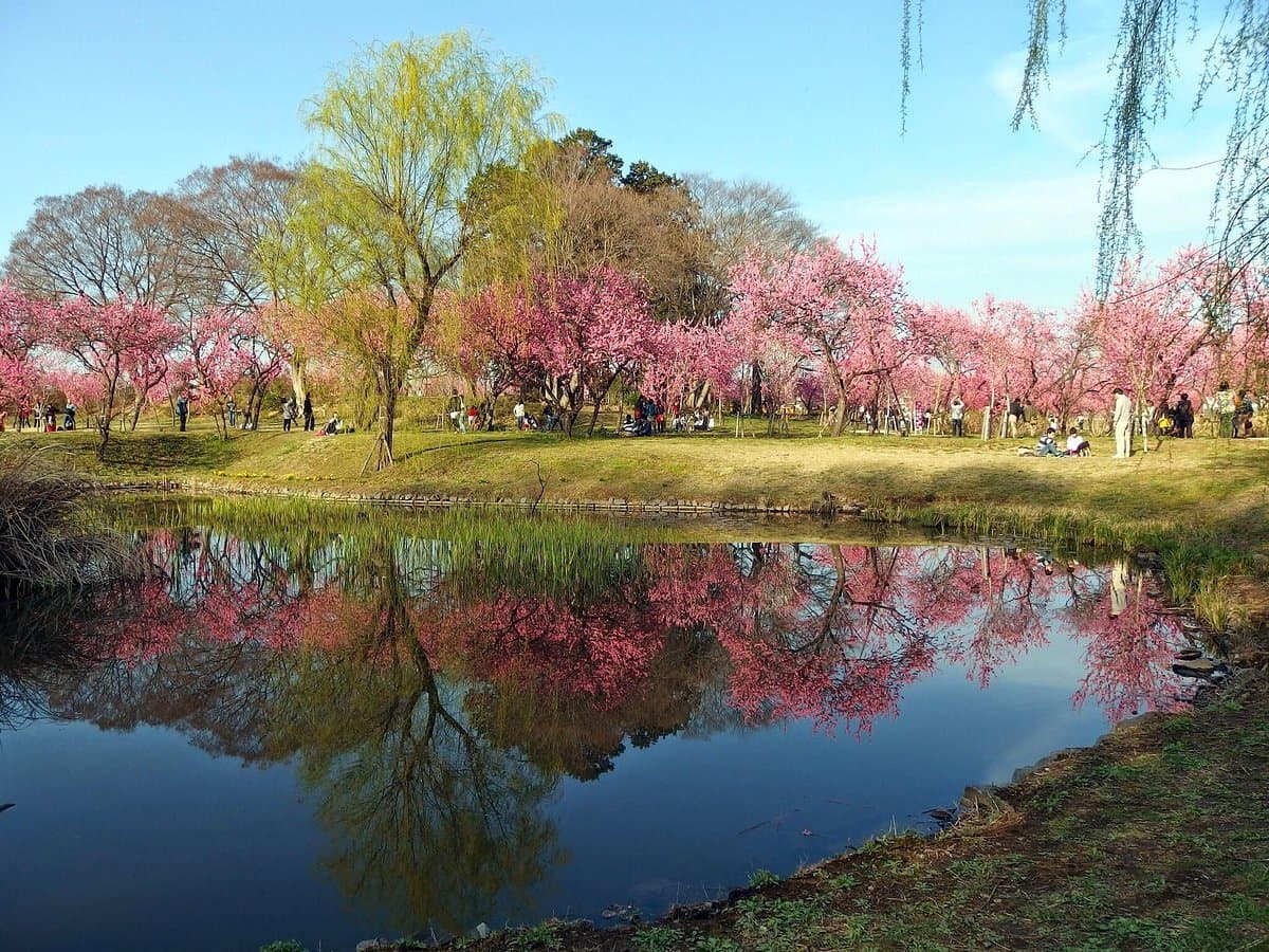 Koga Kubo Park