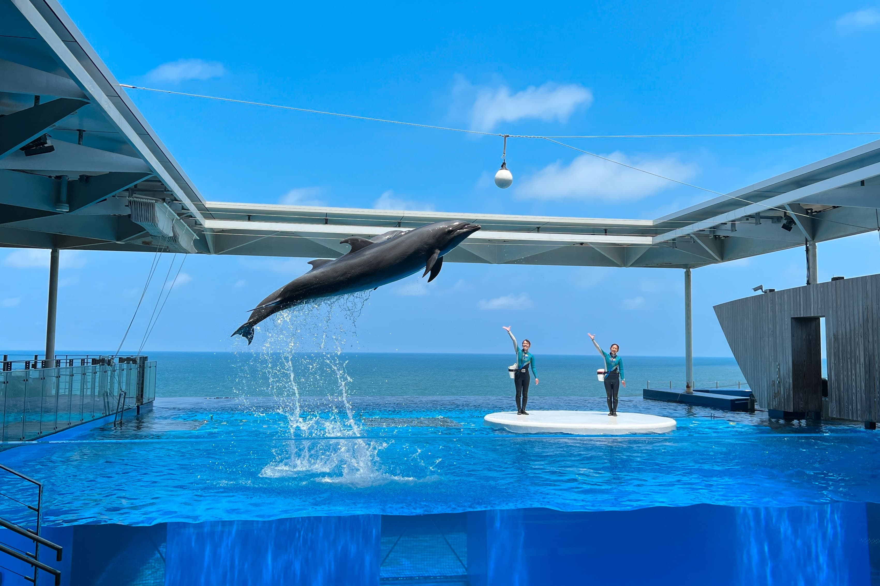 Jōetsu Aquarium Umigatari