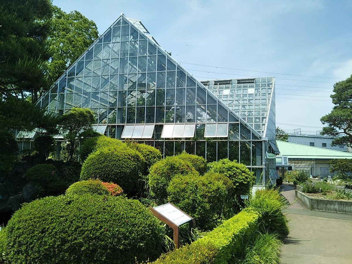 Tokyo Medicobotanischer Garten