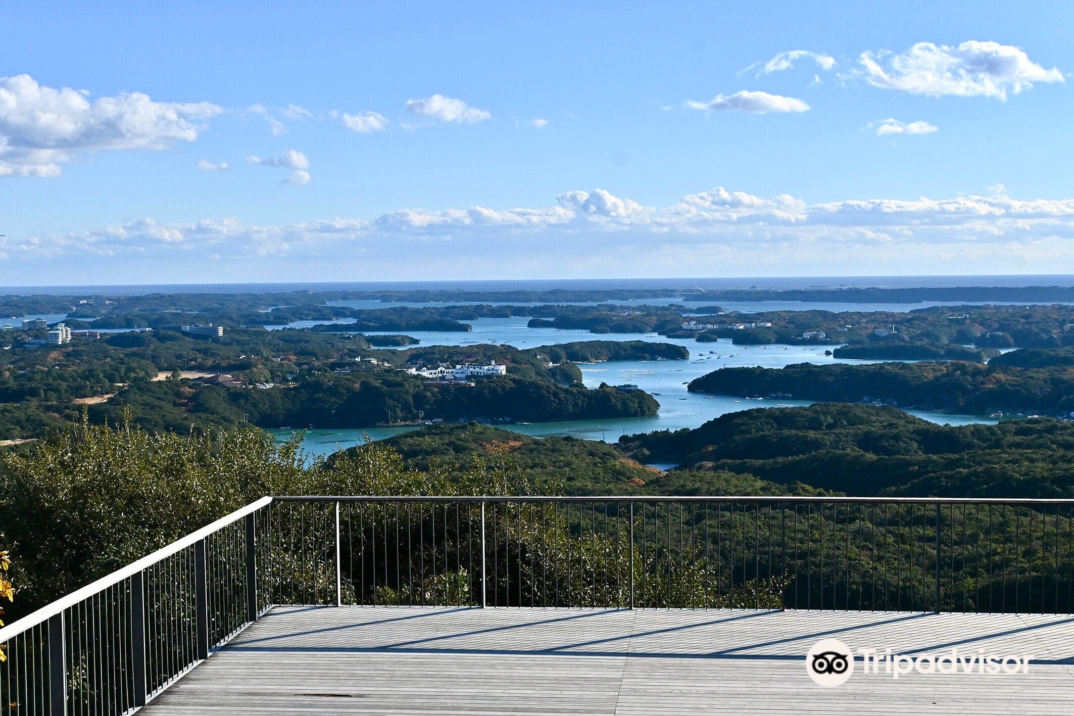 Yokoyama View Point cover image