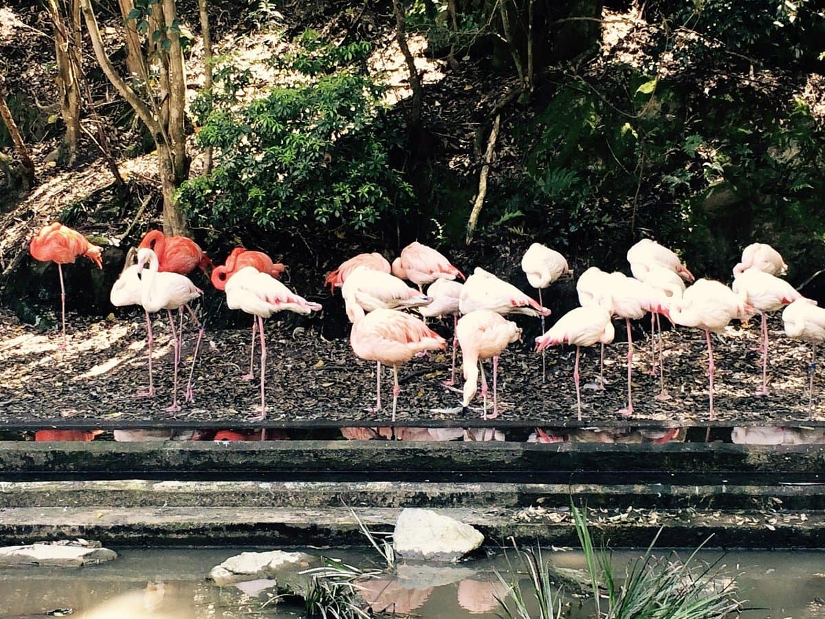 Nagasaki Bio Park