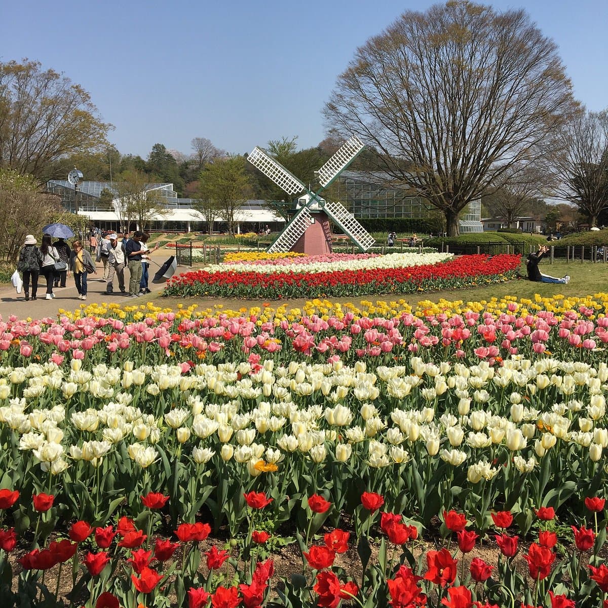 Blumen-Zentrum der Präfektur Hyogo