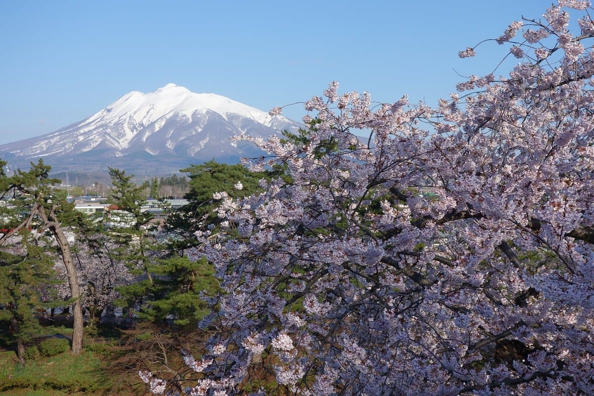 Berg Iwaki