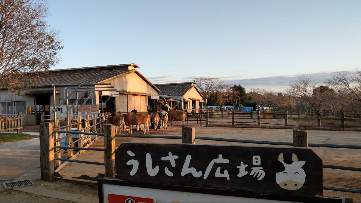 Mori no Makiba Auto-Campingplatz